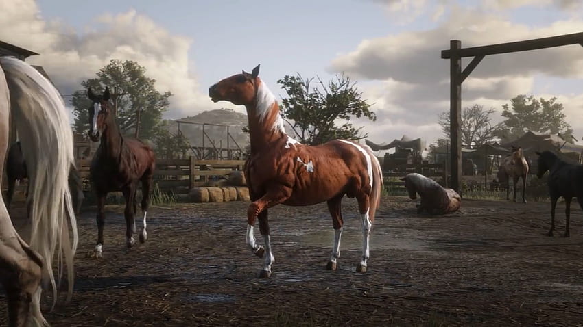 Things We Learned From the Red Dead Redemption 2 Gameplay Trailer, Horse Red Dead Redemption 2 HD wallpaper