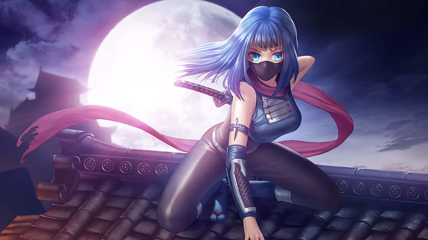 Ninja Assassin  Anime Girl Ninja Assassin  746x1070 PNG Download  PNGkit