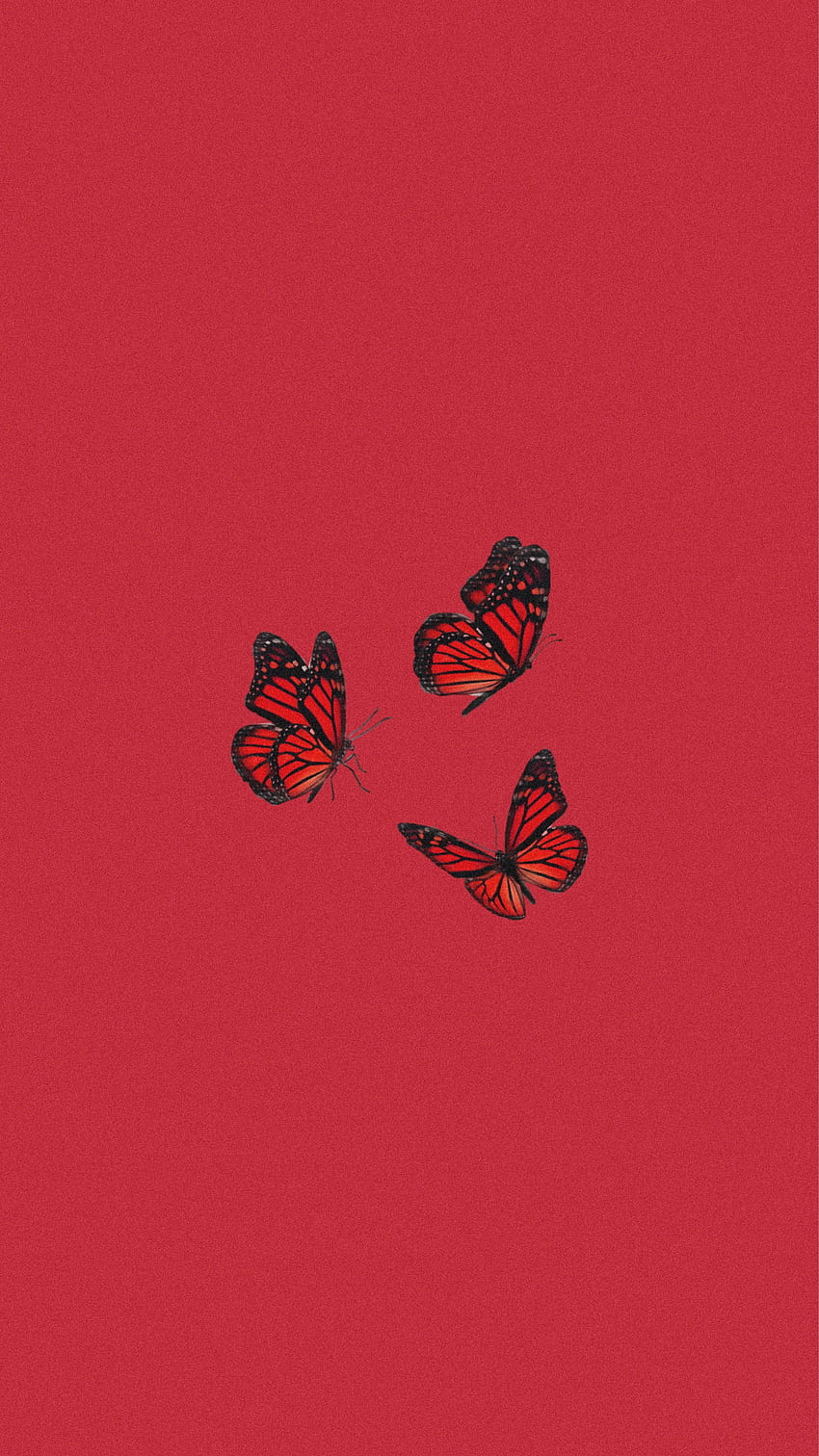 butterfly in 2020. Butterfly iphone, Butterfly , Aesthetic iphone, Cute Red HD phone wallpaper