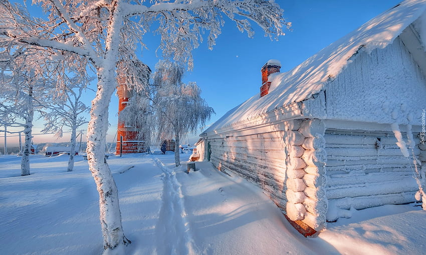 冬の田舎、木造、冬、霜、雪、家、美しい、キャビン、田舎 高画質の壁紙