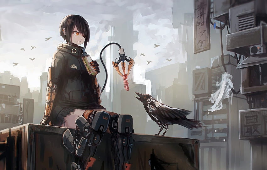 city, future, girl, fantasy, robot, android, bird, Sci-Fi Anime HD wallpaper