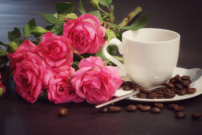 Coffee beans, Roses, Cup, Flowers, Pink HD wallpaper