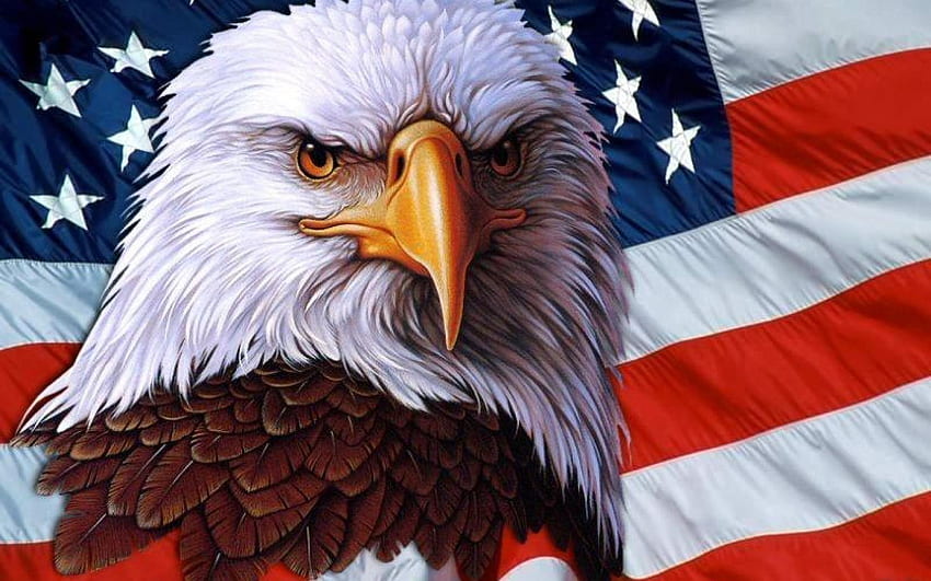 Águia americana, bandeira da águia careca papel de parede HD
