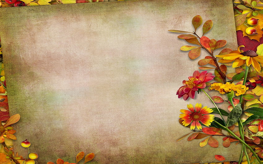 Autumn Vintage Background Leaves Autumn Leaves Berries Flowers [] for your , Mobile & Tablet. Explore Autumn Flower for . Google Flowers , Natural Flower, Autumn Wildflower HD wallpaper