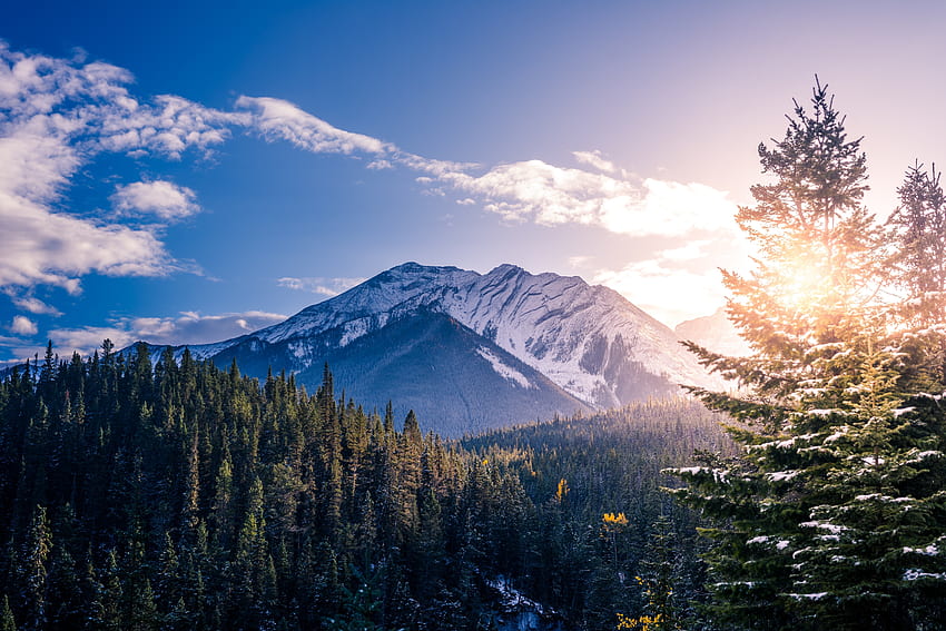 バンフ国立公園、山、森、木、日光、カナダ 高画質の壁紙