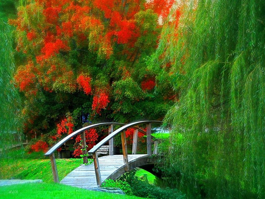 Little white bridge, white, green, red, trees, bridge, autumn, willow, gold HD wallpaper