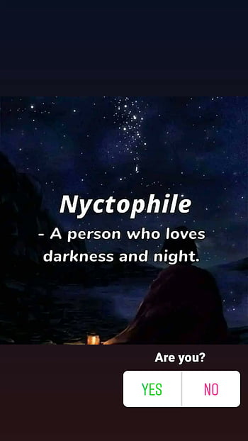 Nyctophilia - Unique Words Definitions