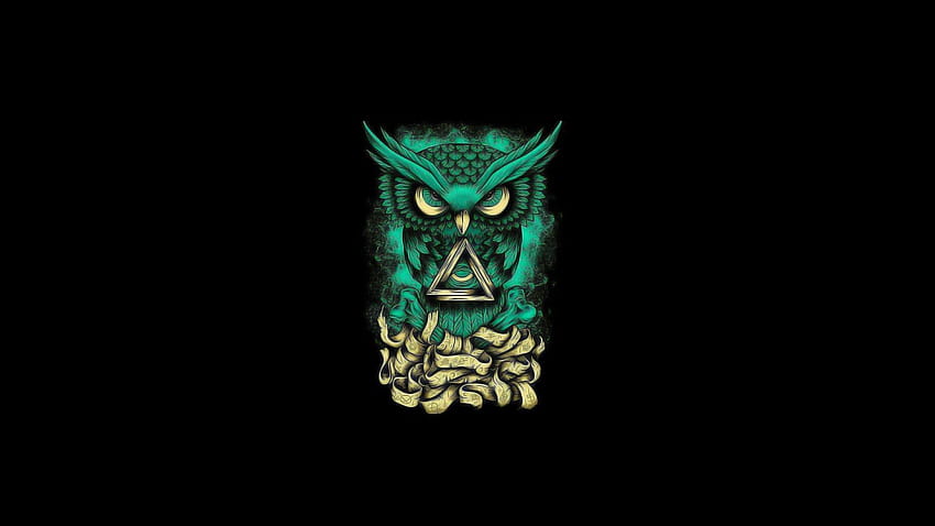 blue owl illustration HD wallpaper
