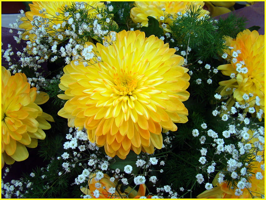 bouquet, adorables, graphie, paisibles, beau, agréable, fleur, jaunes, cool, fleurs, chrysanthème, harmonie Fond d'écran HD