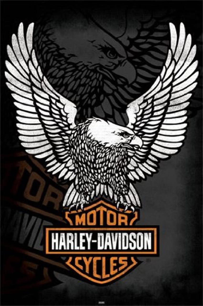 Harley Davidson Quotes. QUOTES OF THE DAY, Harley-Davidson Eagle HD phone wallpaper