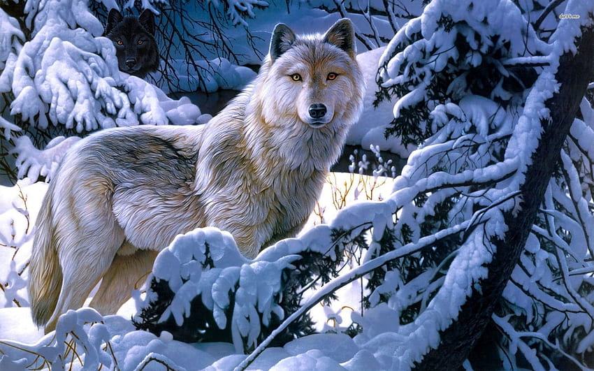 Lobo alfa de anime blanco, lobo negro y rojo de anime fondo de pantalla