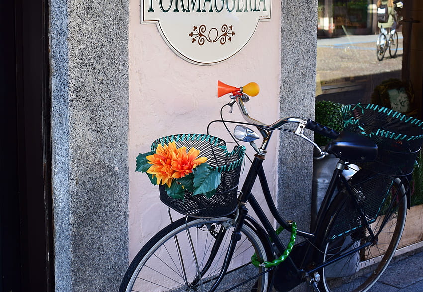 Flowers, , , Basket, Bicycle HD wallpaper