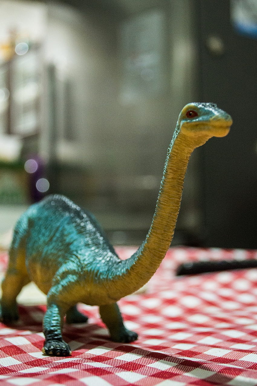 Dinosaur Toy Reptile HD phone wallpaper