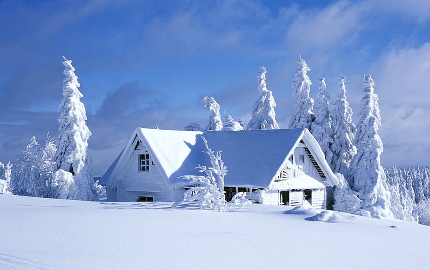 ✰WHITE HOUSE✰, biru, tertutup, mengagumkan, luar biasa, salju, cerah, Bahagia, bersinar, Gedung putih, pohon, menakjubkan, Liburan, matahari, pohon putih, indah, musim, perjalanan, Musim dingin, Rumah, lampu, awan, langit , indah, kemegahan, es Wallpaper HD