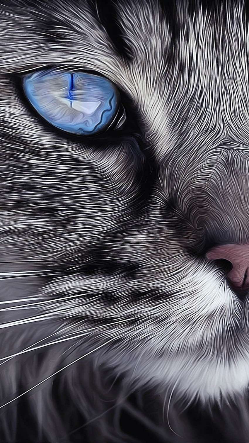 animal eye, Kawaii Cat Face HD phone wallpaper