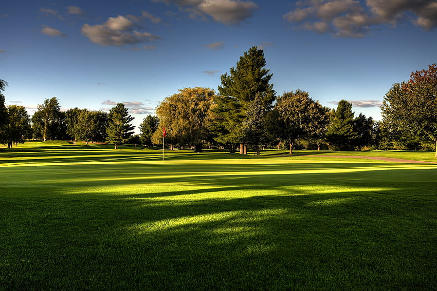 Nature, Trees, Golf, Field, Lawn HD wallpaper