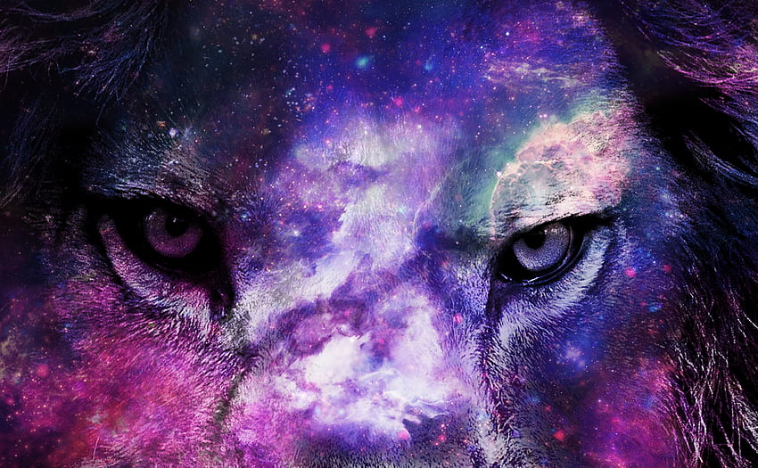 Wallpaper Galaxy Lion Lion Felidae East African Lion Painting  Background  Download Free Image