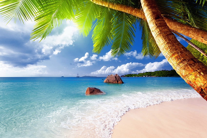 Tropical paradise, island, tropical, relax, vacation, beach, shore, waves, ocean, palms, sea, tropics, exotic, paradise, beautiful, summer, rest, clouds, sky, lovely HD wallpaper