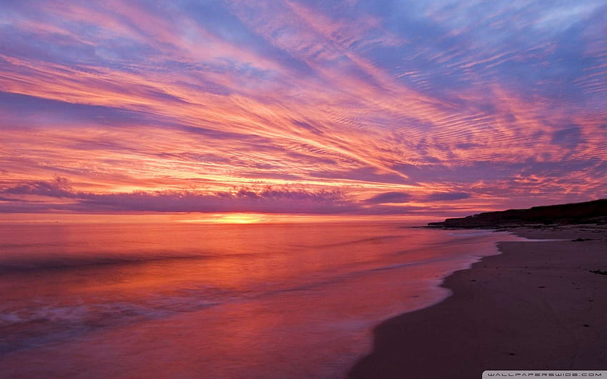 Alba sulla spiaggia, alba rosa Sfondo HD