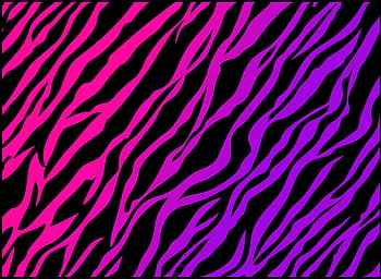 colorful zebra skin