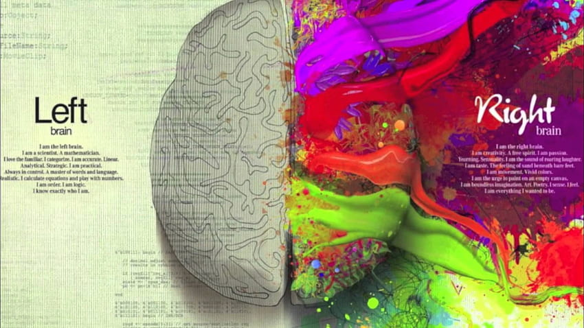 脳 。 右脳、左脳右脳、脳のアートワーク、神経学 高画質の壁紙