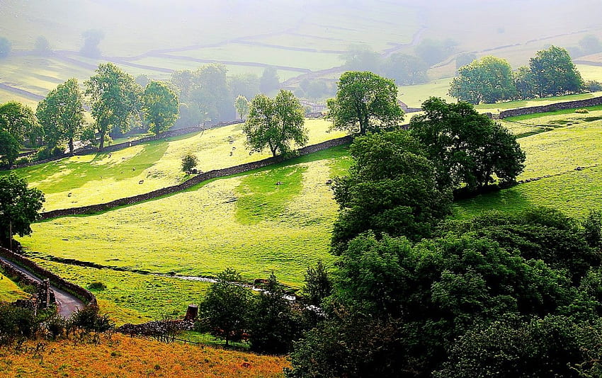 Why yorkshire Doesn't Work…For Everyone