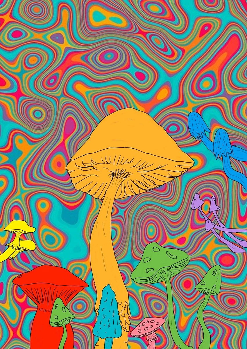 psychedelic mushrooms. Art collage wall, Hippie painting, Psychedelic art HD phone wallpaper