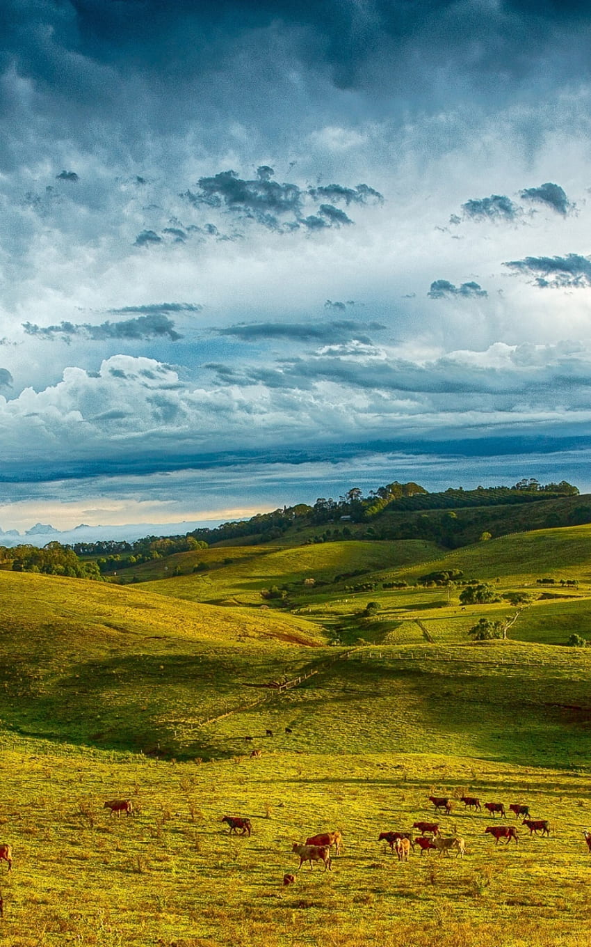 Hills, Landscape, Clouds, Sky, Byron Bay, Australia, Samsung Galaxy Note Gt N7000, Meizu Mx 2, Background HD phone wallpaper