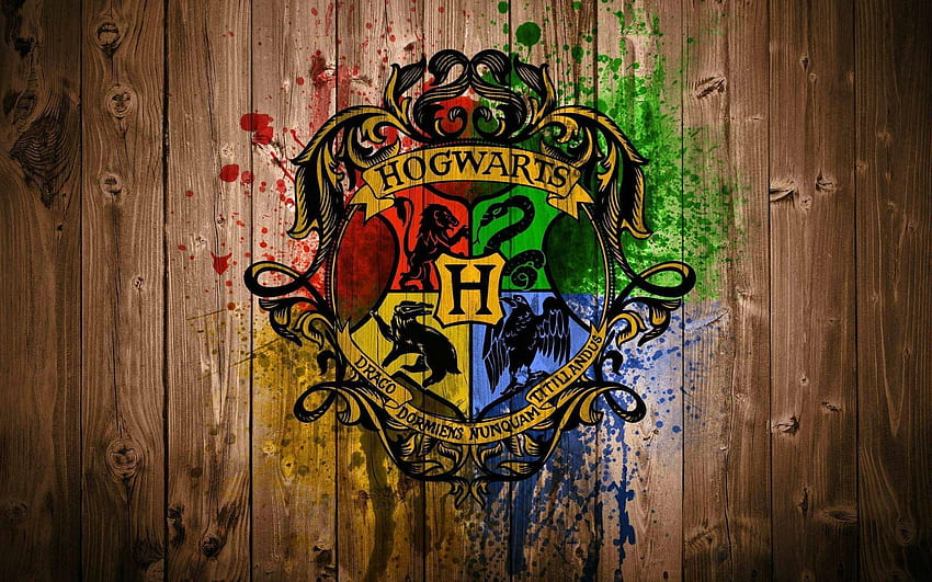Slytherin-Hogwarts. . Harry Potter HD-Hintergrundbild