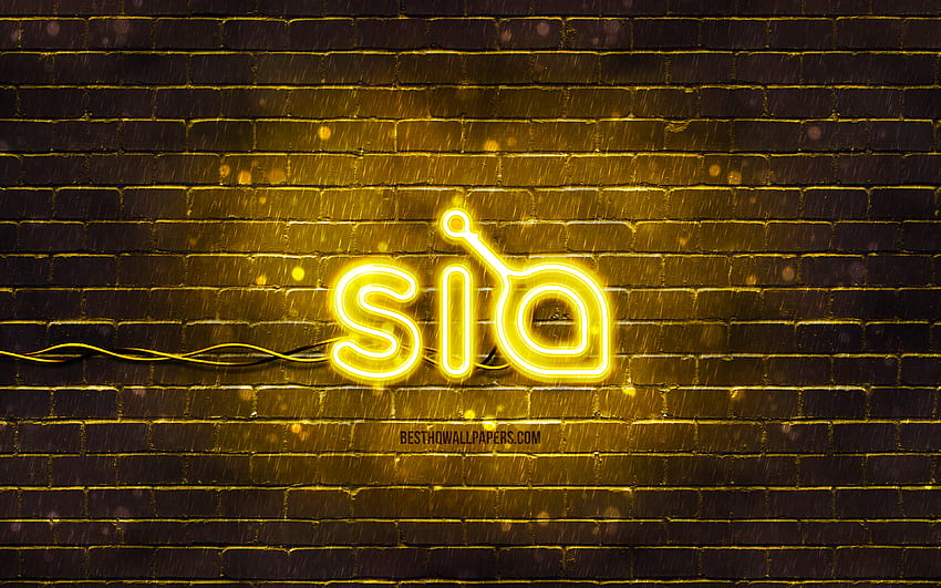 Siacoin yellow logo, , yellow brickwall, Siacoin logo, cryptocurrency ...