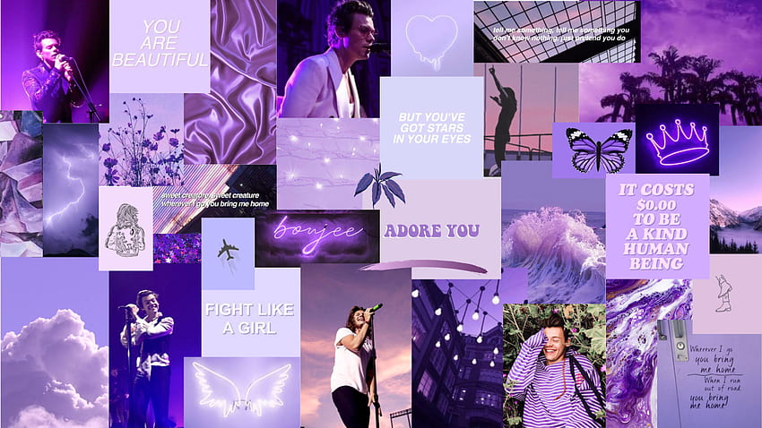 最高の 14 の紫色のバディの美的ラップトップ 高画質の壁紙