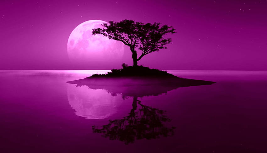 Fantasia rosa, arte, aqua, árvore, rosa, reflexão, lua, resumo, vista, luna, água papel de parede HD