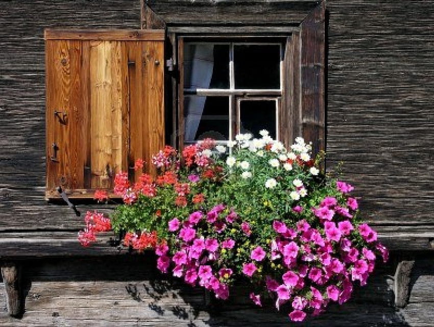 casa de campo, casa de madera, casa de campo, arquitectura, ventana de flores fondo de pantalla