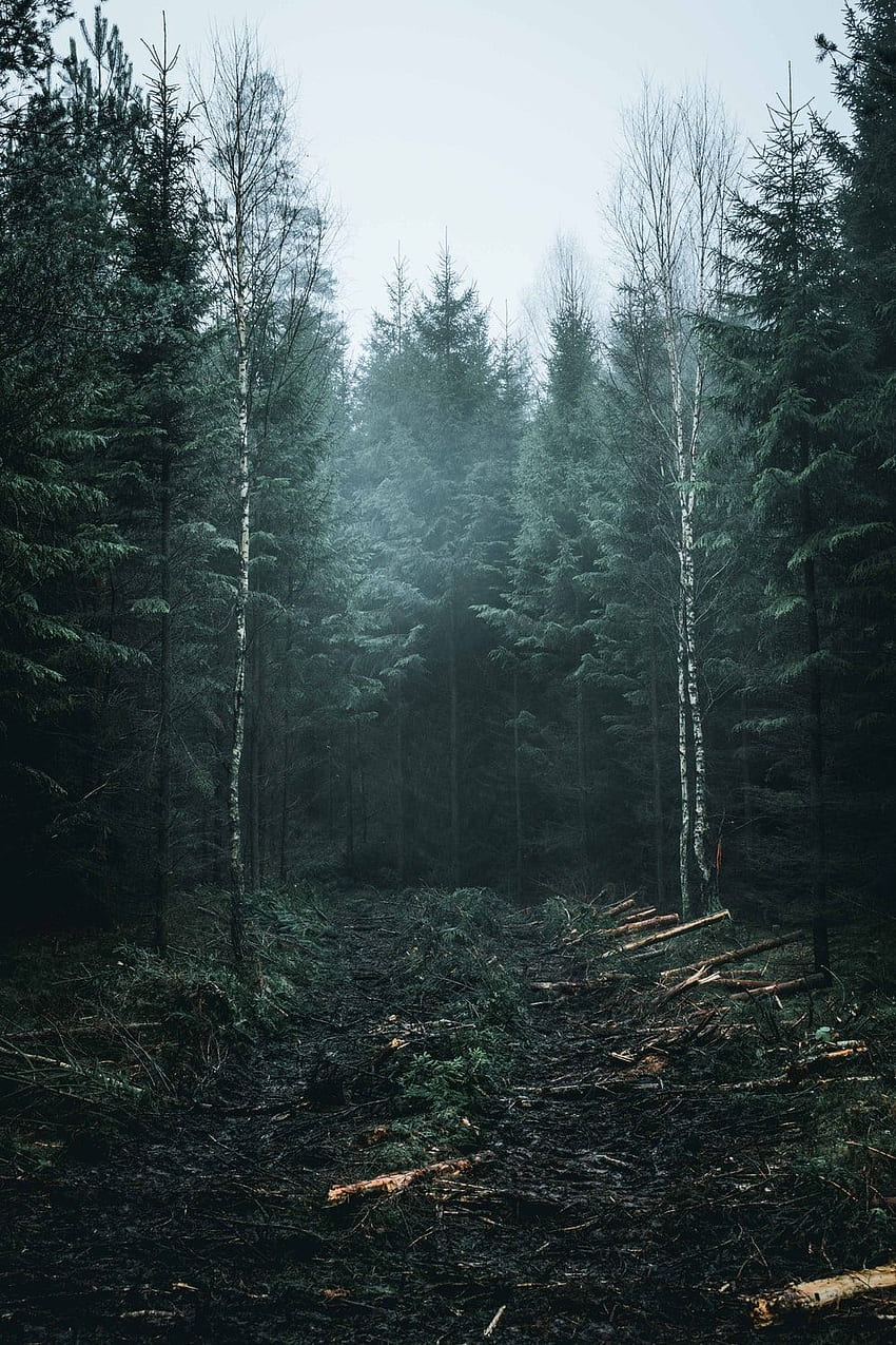 Moody landscape photography at the 