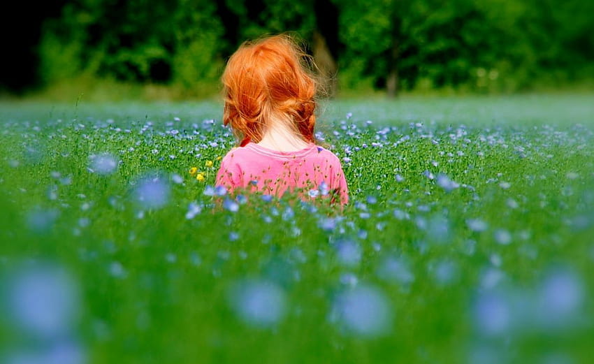 ทารก เตียงที่สวยงาม วัยเด็ก ดอกไม้ ชีวิตเด็ก เด็กหญิงตัวเล็ก ๆ ฤดูใบไม้ผลิ พืชหญ้า ทิวทัศน์ ธรรมชาติ โลก ฤดูใบไม้ผลิ . . 655307 วอลล์เปเปอร์ HD