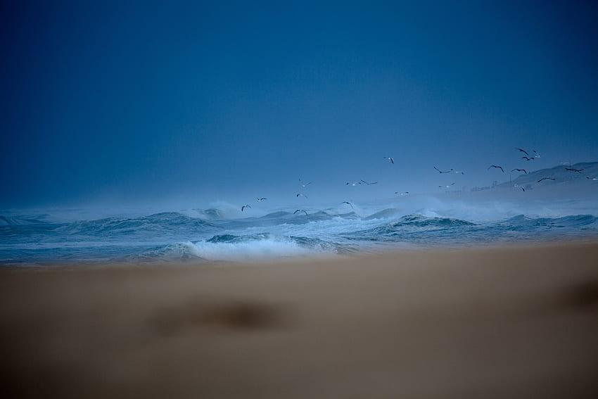 Gaviotas, olas del mar, mar azul, cielo, desenfoque fondo de pantalla