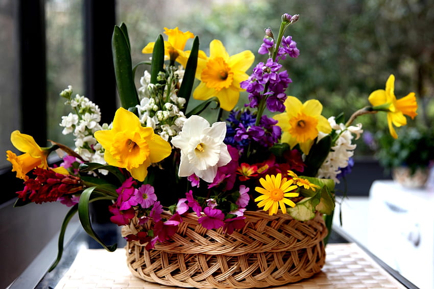 Flowers, Narcissussi, Basket, Composition, Different HD wallpaper