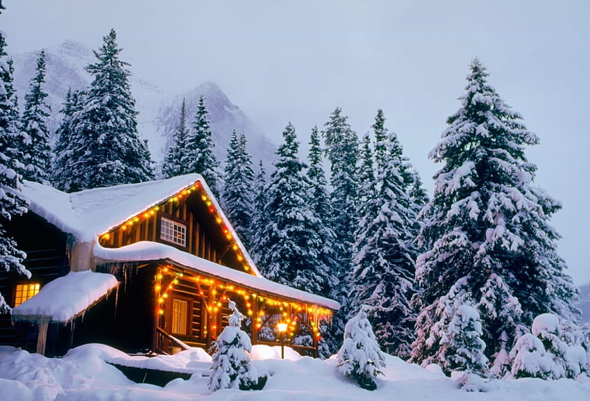 Mountain Cottage, sapins, lumières, neige, paysage, forêt Fond d'écran HD