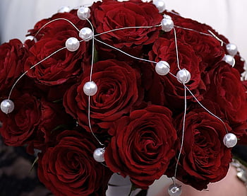 beautiful roses with pearls