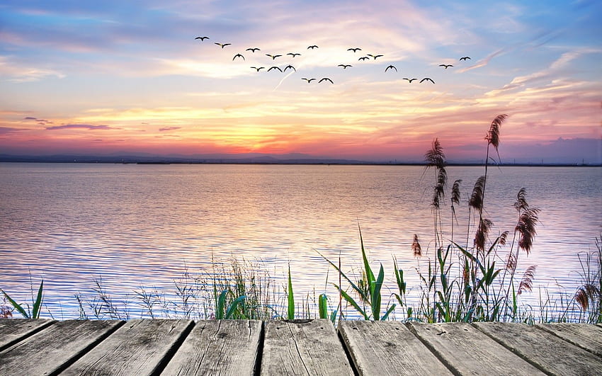 Pemandangan danau yang tenang dari jembatan kayu - Wallpaper HD