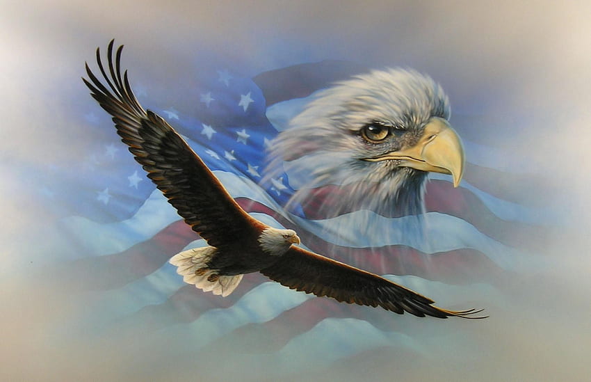 Bald Eagle American Flag HD wallpaper