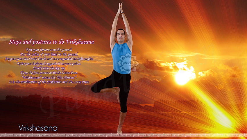Vriksasana Yoga, Yoga Lotus HD wallpaper