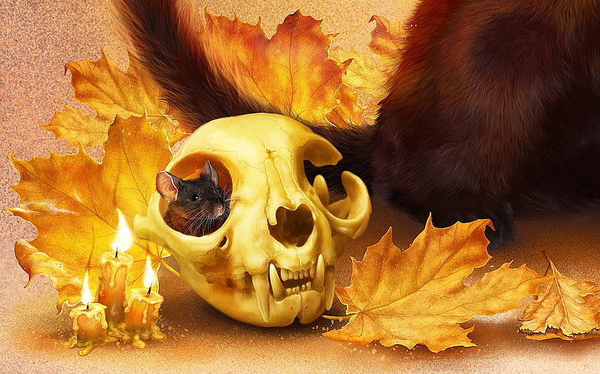 Waiting for Halloween, leaf, orange, toamna, bones, skull, alenaekaterinburg, halloween, mouse, fantasy, autumn, soricel HD wallpaper