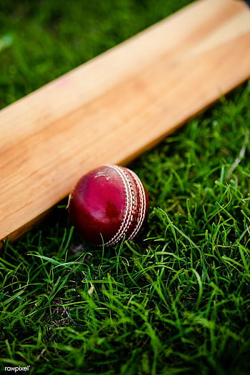 Cricbuzz, UAE-based eVision join hands for new cricket channel - The  Economic Times