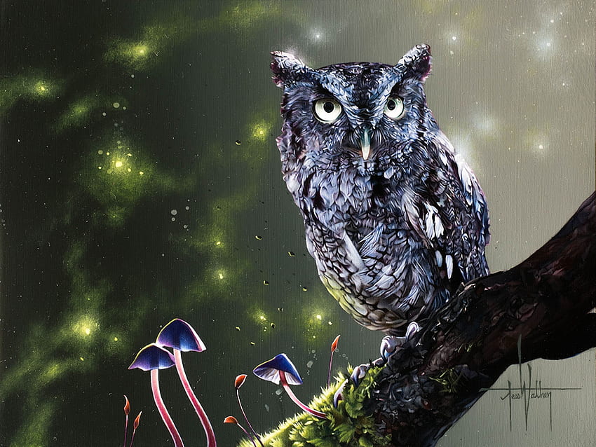 Dialogue With The Stars, artwork, resting, raptor, mushrooms, owl, tree HD wallpaper