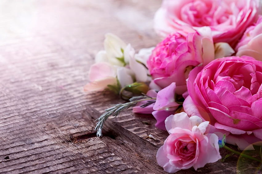 Flowers background, roses, floral, beautiful, background, pink, leaves ...
