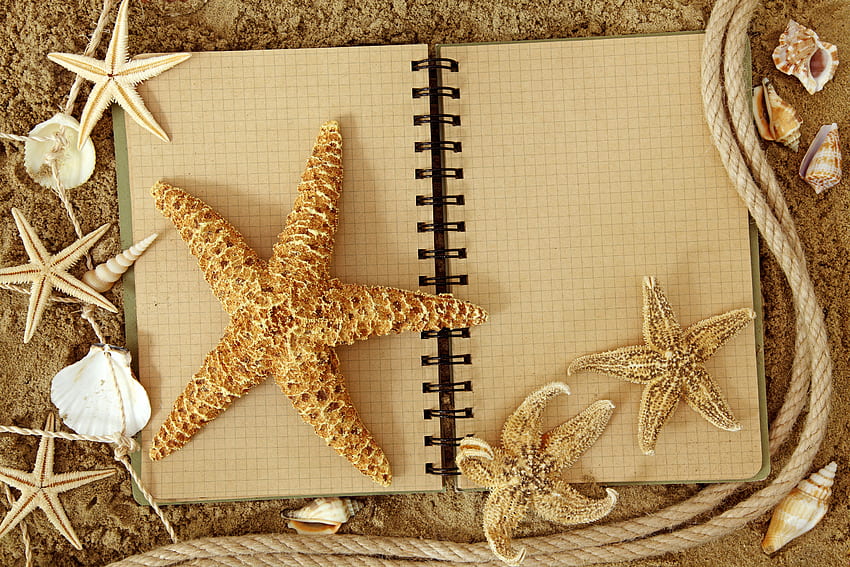 Shells, sea, starfish, notebook, sand, graphy, beautiful, nice, cool, , harmony HD wallpaper