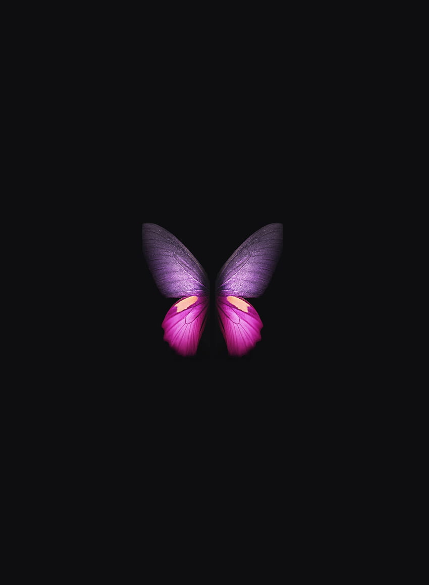 Samsung Galaxy Fold, mariposa rosa-púrpura, mínimo fondo de pantalla del teléfono