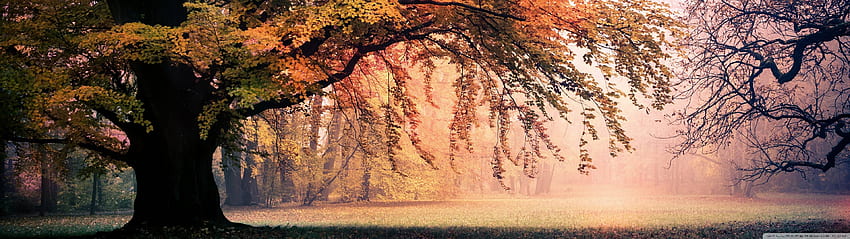 Mùa thu là thời điểm mà thiên nhiên bắt đầu thay đổi màu sắc và tạo ra những khung cảnh tuyệt đẹp. Hãy bấm vào hình ảnh để được thưởng thức những bức ảnh về mùa thu đầy màu sắc và hoài niệm.