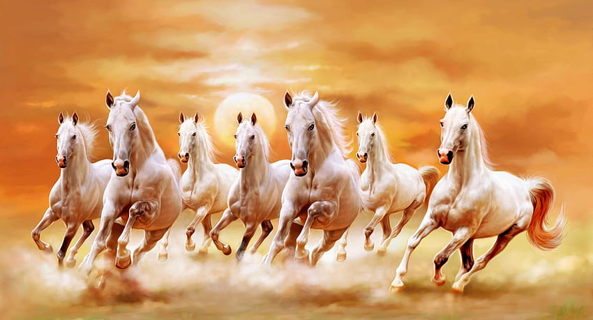 Beaux chevaux blancs - 7 chevaux blancs en cours d'exécution - et arrière-plan Fond d'écran HD